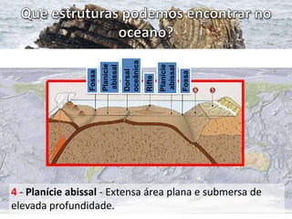 Fossa

Planície
abissal

Rifte

Dorsal
oceânica

Planície
abissal

Fossa

4 - Planície abissal - Extensa área plana e submersa de
elevada profundidade.

 