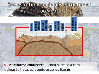 Plataforma
continental

Fossa

Planície
abissal

Rifte

Dorsal
oceânica

Planície
abissal

Fossa

5 - Plataforma continental - Zona submersa com
inclinação fraca, adjacente às zonas litorais.

 