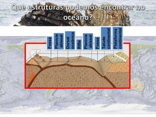 Plataforma
continental

Talude
continental

Fossa

Planície
abissal

Rifte

Dorsal
oceânica

Planície
abissal

Fossa

 