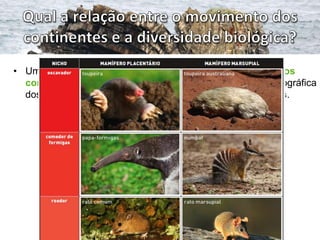• Um dos exemplos da estreita relação entre o movimento dos
  continentes e a diversidade biológica é a distribuição geográfica
  dos mamíferos marsupiais e dos mamíferos placentários.
 