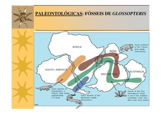 PALEONTOLÓGICAS: FÓSSEIS DE GLOSSOPTERIS
 