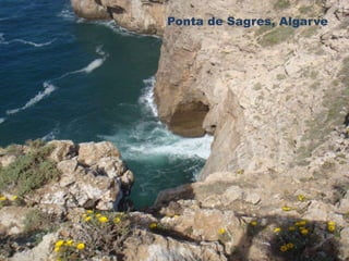 Ponta de Sagres, Algarve 
 