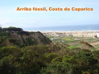 Arriba fóssil, Costa da Caparica 
 
