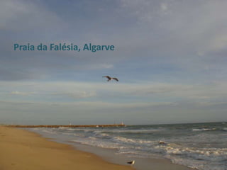 Praia da Falésia, Algarve 
 