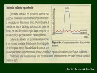 Fonte: Amabis & Martho
 