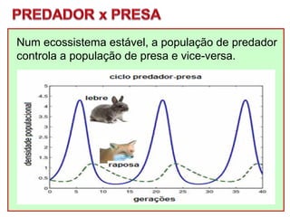 Num ecossistema estável, a população de predador
controla a população de presa e vice-versa.
 