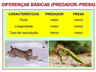 CARACTERÍSTICAS PREDADOR PRESA
Porte maior menor
Longevidade maior menor
Taxa de reprodução menor maior
 