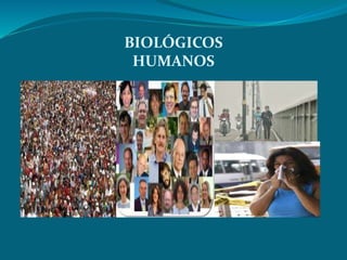 BIOLÓGICOS 
HUMANOS 
 