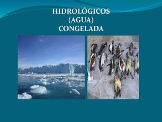 HIDROLÓGICOS 
(AGUA) 
CONGELADA 
 