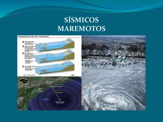 SÍSMICOS
MAREMOTOS