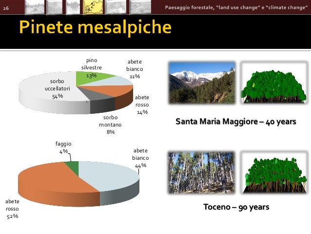 Silvestre pinho phd thesis