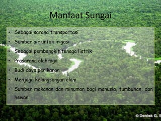 Manfaat Sungai
• Sebagai sarana transportasi
• Sumber air untuk irigasi
• Sebagai pembangkit tenaga listrik
• Prasarana olahraga
• Budi daya perikanan
• Menjaga kelangsungan alam
• Sumber makanan dan minuman bagi manusia, tumbuhan, dan
hewan.
 