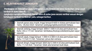 E. IKLIMMENURUT JUNGHUHN
Pembagian ini didasarkan pada ketinggian suatu tempat dan jenis tumbuhan yang cocok
tumbuh di suatu daerah.
Junghuhn mengklasifikasikan daerah iklim di pulau jawa secara vertikal sesuai dengan
kehidupan tumbuh-tumbuhan yaitu sebagai berikut.
• Daerah panas atau tropik, tinggi tempat:0-600 m diatas permukaan laut.
Suhu : 26,3oc-22oC. tanaman: padi,jagungtebu,karet,dan kelapa.
• Daerah sedang, tinggi tempat: 600m-1.500 m di atas permukaan laut.
Suho: 22o c-17,1oC. tanaman: tembakau,the,kopi,cokelat,kina,dan sayur-
sayuran.
• Daerah sejuk, tinggi tempat: 1.500 m-2.500 m di atas permukaan laut.
Suhu: 17,1oC-11,1oC. Tanaman: pinus dan cemara.
• Daerah dingin, tinggi tempat: lebih dari 2.500 m di atas permukaan laut.
Suhu: 11,1oC-6oC. Tanaman: tidak ada tanaman budi daya.
 