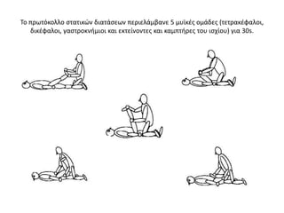 Εξετάστηκε η επίδραση των διατάσεων στην μυϊκή αντοχή Μετά από τις διατάσεις η αντοχή στην δύναμη μειώθηκε από 9% - 28%