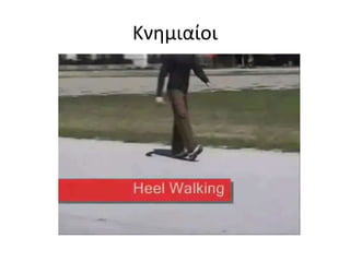 Οπίσθιοι μηριαίοι