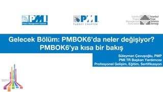Gelecek Bölüm: PMBOK6’da neler değişiyor?
PMBOK6’ya kısa bir bakış
Süleyman Çavuşoğlu, PMP
PMI TR Başkan Yardımcısı
Profesyonel Gelişim, Eğitim, Sertifikasyon
 