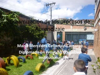 Dinamización de los procesos de
         Aprendizaje

  María Mercedes Cellamén Camargo
  Diplomado en Proyecto Educativo
            Institucional
 