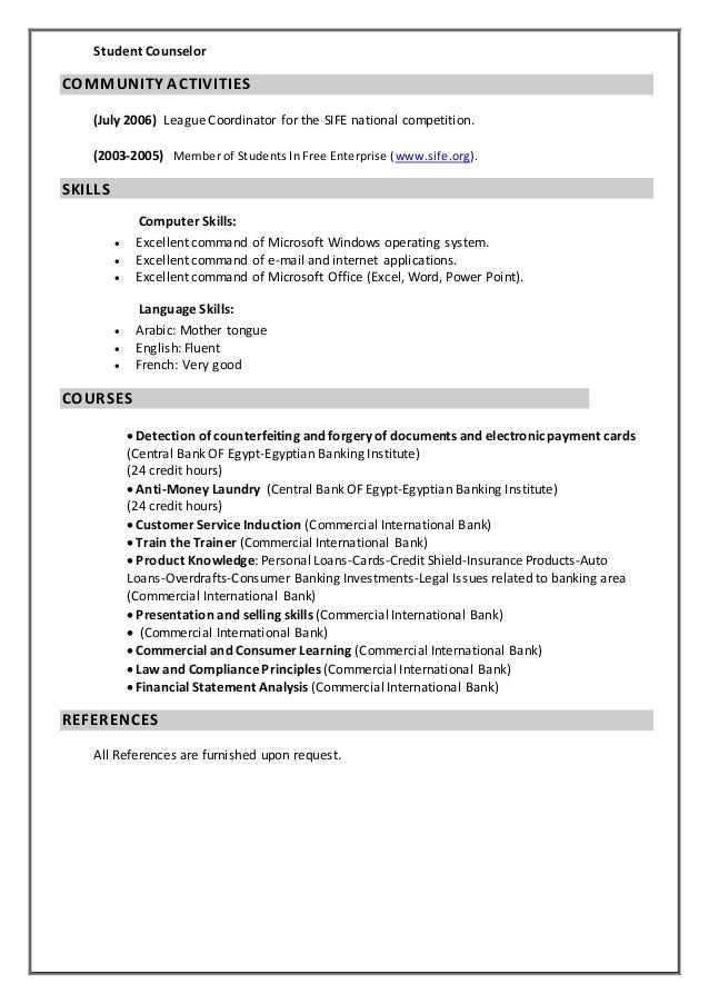 dina 39 s job description cv computer system analyst job description