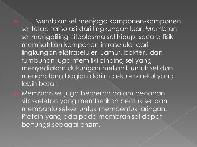 Dinding sel dan membran sel