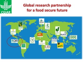 International Center for Tropical Agriculture Centro Internacional de