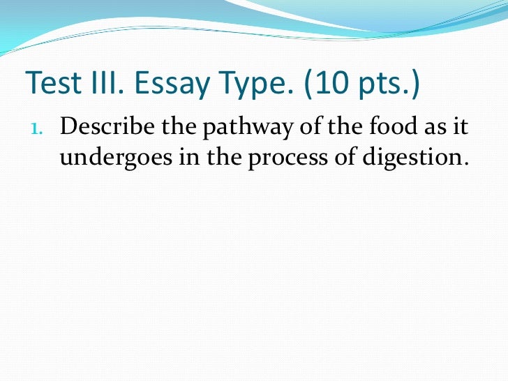 conclusion on digestive system essay