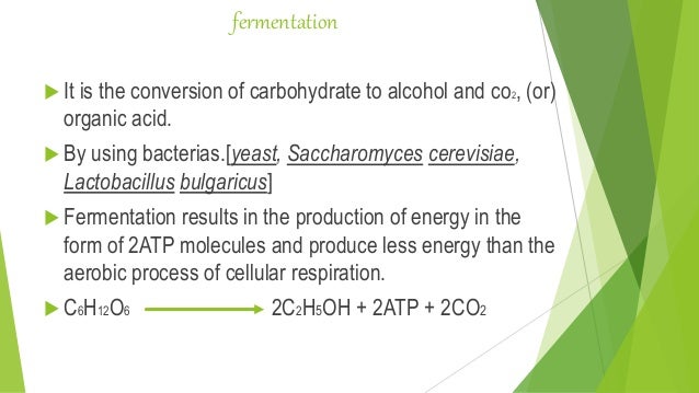 Fermentation - Fermentation 2 638