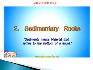 SEDIMENTARY ROCK
 