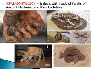  5)PALAEONTOLOGY :- It deals with study of fossils of
Ancient life forms and their Evolution.
 