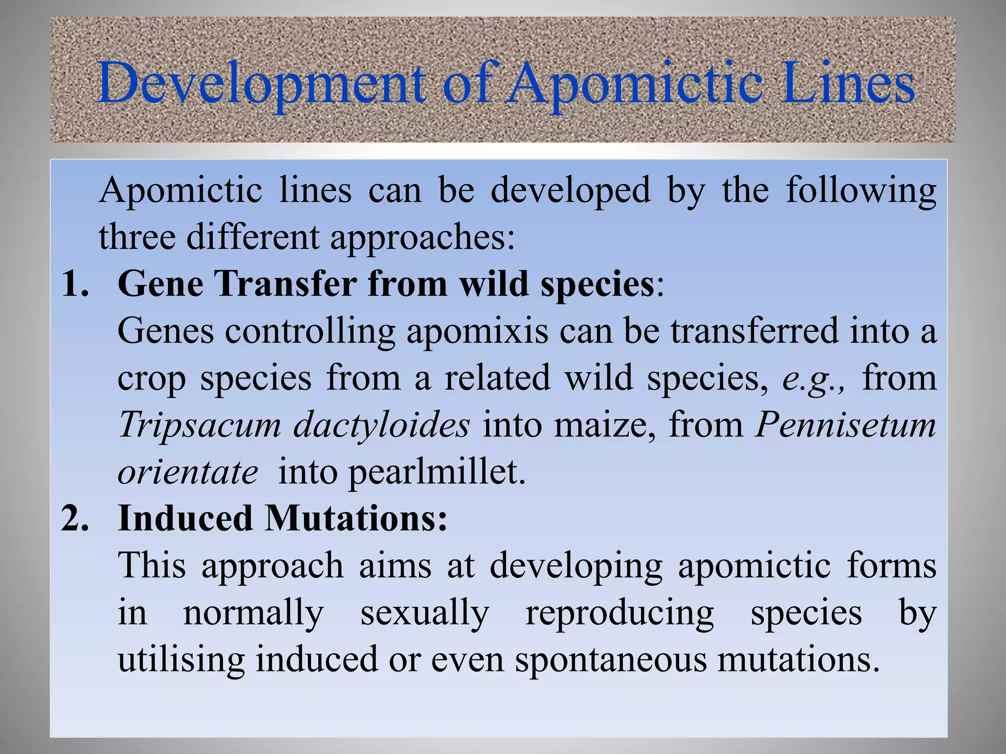 Development of Apomictic Lines
Apomictic lines can be developed by the following
three different approaches:
1. Gene Transfer from wild species:
Genes controlling apomixis can be transferred into a
crop species from a related wild species, e.g., from
Tripsacum dactyloides into maize, from Pennisetum
orientate into pearlmillet.
2. Induced Mutations:
This approach aims at developing apomictic forms
in normally sexually reproducing species by
utilising induced or even spontaneous mutations.
 