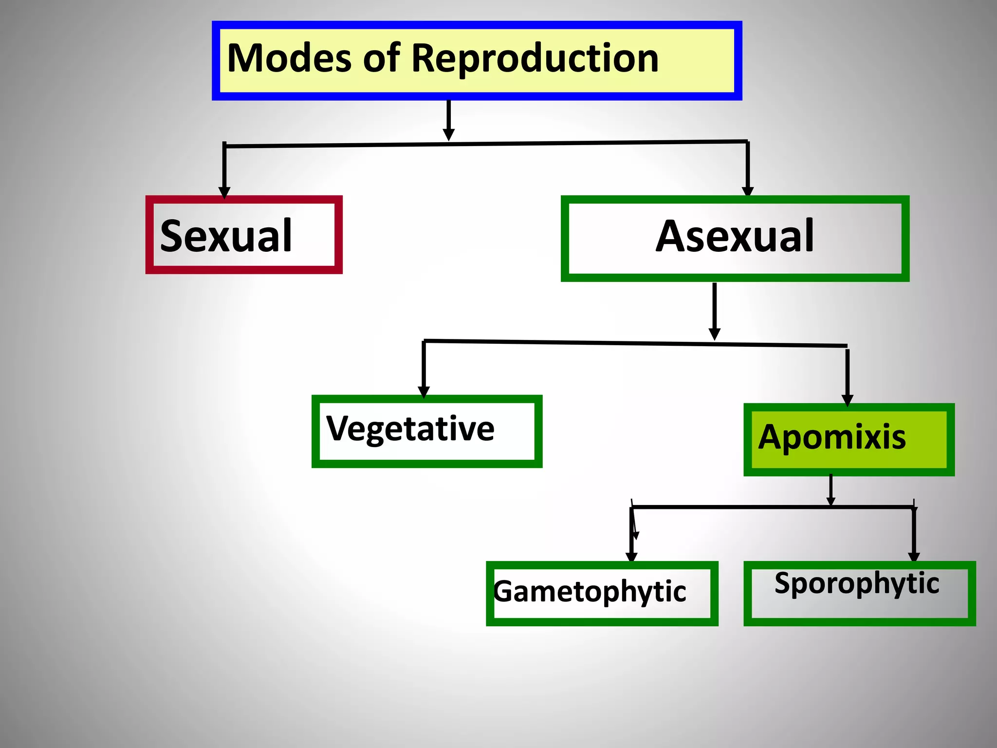 Modes of Reproduction
Sexual Asexual
ApomixisVegetative
Gametophytic Sporophytic
 