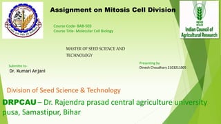 Assignment on Mitosis Cell Division
Course Code- BAB-503
Course Title- Molecular Cell Biology
MASTER OF SEED SCIENCE AND
TECHNOLOGY
Division of Seed Science & Technology
DRPCAU – Dr. Rajendra prasad central agriculture university
pusa, Samastipur, Bihar
Submitte to-
Dr. Kumari Anjani
Presenting by
Dinesh Choudhary 2103211005
 