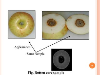 Rotting Sample Picture x-ray computed tomography for food quality | PPTX