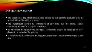 OBSERVATION PERIOD
 The duration of the observation period should be sufficient to evaluate fully the
reversibility of the effects observed.
 The experiment should be terminated at any time that the animal shows
continuing signs of severe pain or distress.
 To determine the reversibility of effects, the animals should be observed up to 14
days after removal of the patches.
 If reversibility is seen before 14 days, the experiment should be terminated at that
time.
19
 