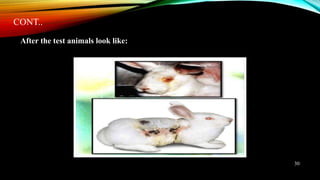 CONT..
After the test animals look like:
30
 