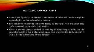  Rabbits are especially susceptible to the effects of stress and should always be
approached in a calm and confident manner.
 The handler is restraining the rabbit firmly by the scruff with the other hand
ready to support the animal’s hindquarters.
 There is no one correct method of handling or restraining animals, but the
general principle is that it should not cause pain or discomfort to the animal. It
should also be comfortable for the handler.
HANDLING AND RESTRAINT
8
 