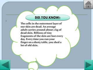 Cell -Structure and functions | PPTX