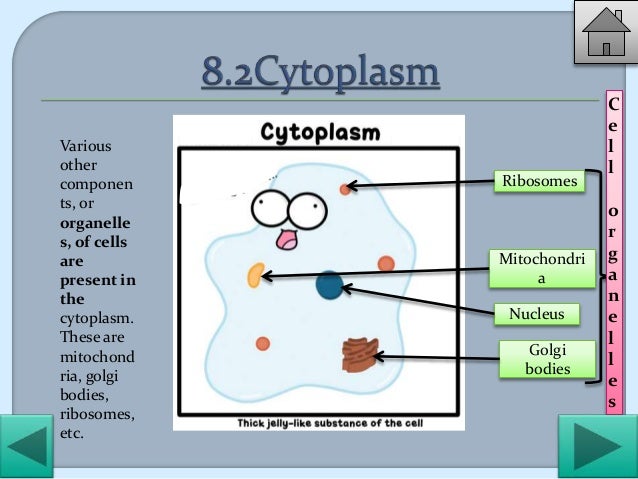 Cell -Structure and functions