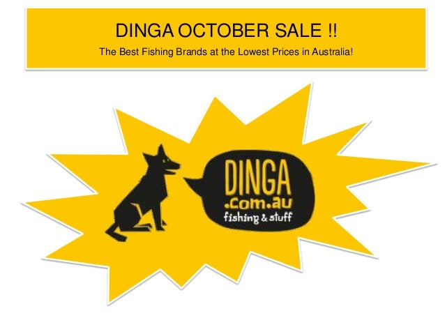 Dinga fishing coupon code