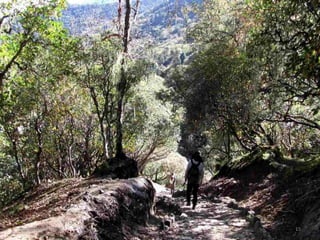 September 16, 2012   15
 