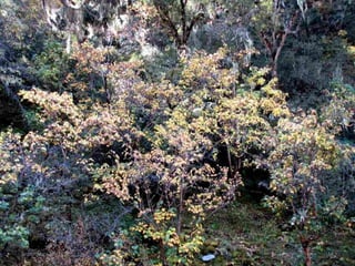 September 16, 2012   18
 