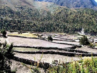 September 16, 2012   36
 