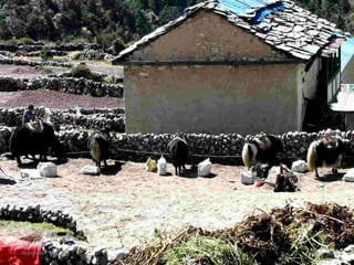 September 16, 2012   38
 