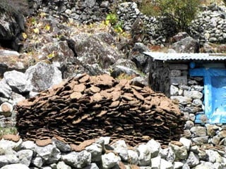 September 16, 2012   48
 