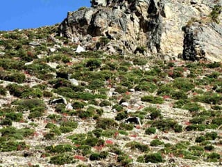 September 16, 2012   86
 