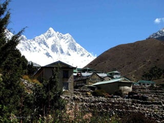 September 16, 2012   95
 