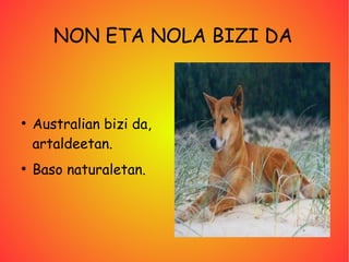 NON ETA NOLA BIZI DA



●
    Australian bizi da,
    artaldeetan.
●
    Baso naturaletan.
 