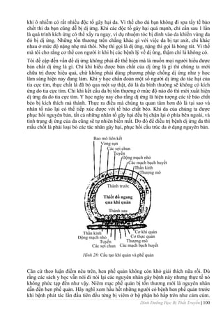 Dinh Dưỡng Học Bị Thất Truyền | 100
khí ô nhiễm có rất nhiều độc tố gây hại da. Vì thế cho dù bạn không đi spa tẩy tế bào
chết thì da bạn cũng dễ bị dị ứng. Khi các độc tố gây hại quá mạnh, chỉ cần sau 1 lần
là quá trình kích ứng có thể xẩy ra ngay, ví dụ nhuộm tóc bị dính vào da khiến vùng da
đó bị dị ứng. Những tổn thƣơng trên chẳng khác gì với việc da bị tạt axit, chỉ khác
nhau ở mức độ nặng nhẹ mà thôi. Nhẹ thì gọi là dị ứng, nặng thì gọi là bỏng rát. Vì thế
mà tôi cho rằng cơ thể con ngƣời ít khi bị các bệnh lý về dị ứng, thậm chí là không có.
Tôi đề cập đến vấn đề dị ứng không phải để thể hiện mà là muốn mọi ngƣời hiểu đƣợc
bản chất dị ứng là gì. Chỉ khi hiểu đƣợc bản chất của dị ứng là gì thì chúng ta mới
chữa trị đƣợc hiệu quả, chứ không phải dùng phƣơng pháp chống dị ứng nhƣ y học
lâm sàng hiện nay đang làm. Khi y học chẩn đoán một số ngƣời dị ứng do tác hại của
tia cực tím, thực chất là đã bỏ qua một sự thật, đó là da bình thƣờng sẽ không có kích
ứng do tia cực tím. Chỉ khi kết cấu da bị tổn thƣơng ở mức độ nào đó thì mới xuất hiện
dị ứng da do tia cực tím. Y học ngày nay cho rằng dị ứng là hiện tƣợng các tế bào chất
béo bị kích thích mà thành. Thực ra điều mà chúng ta quan tâm hơn đó là tại sao và
nhân tố nào lại có thể tiếp xúc đƣợc với tế bào chất béo. Khi da của chúng ta đƣợc
phục hồi nguyên bản, tất cả những nhân tố gây hại đều bị chặn lại ở phía bên ngoài, và
tình trạng dị ứng của da cũng sẽ tự nhiên biến mất. Do đó để điều trị bệnh dị ứng da thì
mấu chốt là phải loại bỏ các tác nhân gây hại, phục hồi cấu trúc da ở dạng nguyên bản.
Hình 28: Cấu tạo khí quản và phế quản
Căn cứ theo luận điểm nêu trên, hen phế quản không còn khó giải thích nữa rồi. Dù
rằng các sách y học vẫn nói đi nói lại các nguyên nhân gây bệnh này nhƣng thực tế nó
không phức tạp đến nhƣ vậy. Niêm mạc phế quản bị tổn thƣơng mới là nguyên nhân
dẫn đến hen phế quản. Hãy nghĩ xem hầu hết những ngƣời có bệnh hen phế quản trƣớc
khi bệnh phát tác lần đầu tiên đều từng bị viêm ở bộ phận hô hấp trên nhƣ cảm cúm.
Bao mô liên kết
Vòng sụn
Các sợi chun
Tuyến
Động mạch nhỏ
Các mạch bạch huyết
Thần kinh
Thƣợng mô
Thành trƣớc
Thành sau
Thiết đồ ngang
qua khí quản
Cơ khí quản
Cơ thực quản
Thƣợng mô
Các mạch bạch huyết
Các sợi chun
Tuyến
Động mạch nhỏ
Thần kinh
 