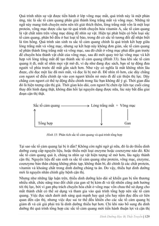 Dinh Dưỡng Học Bị Thất Truyền | 129
Quá trình nhìn sự vật đƣợc tiến hành ở lớp võng mạc mắt, quá trình này là một phản
ứng, tức là sắc tố cảm quang phân giải thành lòng trắng mắt và võng mọc. Những từ
ngữ này mang tính chuyên môn nên tôi giải thích thêm, lòng trắng mắt vốn là một loại
protein, võng mạc đƣợc cấu tạo từ quá trình chuyển hóa vitamin A, sắc tố cảm quang
là vật chất nằm trên võng mạc dùng để nhìn sự vật. Hiện tại phát hiện có bốn loại sắc
tố cảm quang, phân bố đều ở hai loại tế bào, trong đó có sắc tố tƣơng đối dễ nhận biết
là tím hồng. Quá trình sản sinh ra sắc tố cảm quang chính là quá trình kết hợp giữa
lòng trắng mắt và võng mạc, nhƣng sự kết hợp này không đơn giản, sắc tố cảm quang
sẽ phân thành lòng trắng mắt và võng mạc, sau đó chất ở võng mạc phải đến gan trƣớc
để chuyển hóa thành vật chất của võng mạc, sau đó mới quay trở lại võng mạc và kết
hợp với lòng trắng mắt để tạo thành sắc tố cảm quang (Hình 33). Sau khi sắc tố cảm
quang ít đi, mẳt sẽ nhìn mọi vật mờ đi, ví dụ nhƣ đang đọc sách, bạn sẽ tự động đƣa
ngƣời về phía trƣớc để mắt gần sách hơn. Nhƣ vậy có nghĩa là mắt không nhìn lâu
đƣợc, chỉ đọc một lúc đã mỏi mắt, và đọc là bị mở đi. Để nhìn rõ hơn, các dây chằng
con ngƣơi sẽ điều chỉnh ép vào con ngƣơi khiến nó méo đi để cải thiện thị lực. Dây
chằng con ngƣơi có thể tự động điều chỉnh trong lúc bạn không để ý gì. Thời gian đầu
đó là hiện tƣợng cận thị giả. Thời gian kéo dài, con ngƣơi bị chèn ép liên tục cuối cùng
thay đổi hình dạng thật, không đàn hồi lại nguyên dạng đƣợc nữa, lúc này bắt đầu giai
đoạn cận thị thật.
Sắc tố cảm quang Lòng trắng mắt + Võng mạc
Tổng hợp Gan
Hình 33: Phân tích sắc tố cảm quang và quá trình tổng hợp
Tại sao sắc tố cảm quang lại bị ít dần? Không còn nghi ngờ gì nữa, đó là do thiếu dinh
dƣỡng cung cấp nguyên liệu, hoặc thiếu một loại enzyme hoặc coenzyme nào đó. Khi
sắc tố cảm quang quá ít, chúng ta nhìn sự vật hiện tƣợng sẽ mờ hơn, lâu ngày thành
cận thị. Nguyên liệu để sản sinh ra sắc tố cảm quang nhƣ protein, võng mạc, enzyme,
coenzyme bản thân chúng không phức tạp, không thần bí, đó chính là các chất protein,
vitamin và khoáng chất trong dinh dƣỡng chúng ta ăn. Do vậy, thiếu hụt dinh dƣỡng
mới là nguyên nhân chính gây bệnh cận thị.
Nhƣng nhƣ những lập luận trên, thiếu dinh dƣỡng kéo dài sẽ khiến gan bị tổn thƣơng
nhiều nhất, chức năng trao đổi chất của gan sẽ bị kém đi và tất nhiên cũng ảnh hƣởng
tới thị lực, bởi vì gan phụ trách chuyển hóa chất ở võng mạc vốn chƣa thể sử dụng cho
mắt thành chất có thể sử dụng và tham gia vào quá trình tổng hợp nên sắc tố cảm
quang. Việc đọc sách dƣới ánh sáng quá mạnh hay quá yếu hay nằm đọc đều có liên
quan đến cận thị, nhƣng việc đọc sai tƣ thế đều khiến cho các sắc tố cảm quang bị
giảm đi và cái giá phải trả là dinh dƣỡng thiếu hụt hơn. Chỉ khi nào bổ sung đủ dinh
dƣỡng thì quá trình tổng hợp các sắc tố cảm quang mới tiến hành thuận lợi và cận thị
 