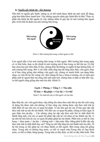 Dinh Dưỡng Học Bị Thất Truyền | 24
b) Nguồn gốc bệnh tật - tổn thƣơng
Nếu biết rõ nguồn gốc bệnh, chúng ta có thể tránh đƣợc bệnh tật một cách dễ dàng,
giúp bản thân khỏe mạnh hơn. Vậy những nguyên nhân gây bệnh đến từ đâu? Thực ra,
phần lớn bệnh tật bắt nguồn từ việc những nhân tố gây hại từ môi trƣờng bên ngoài
phá vỡ đi tính ổn định của môi trƣờng bên trong.
Hình 4: Môi trƣờng bên trong và bên ngoài cơ thể
Con ngƣời đều ở hai môi trƣờng bên trong và bên ngoài. Môi trƣờng bên trong nghe
có vẻ khó hiểu, thực ra đó chính là môi trƣờng mà tế bào trong cơ thể tồn tại. Có thể
bạn chƣa bao giờ nhìn thấy tế bào, nhƣng điều đó không có nghĩa là bạn không hiểu về
môi trƣờng bên trong. Bởi vì tôi chắc chắn rằng bạn đã từng nhìn thấy viên gạch, thực
ra tế bào cũng giống nhƣ những viên gạch vậy, chúng có muôn hình vạn dạng khác
nhau, có viên thì lại rất vuông vức. Khi chúng tôi học y khoa ở trƣờng, chỉ có môn giải
phẫu sinh lý ngƣời thôi mà cũng mất một năm trời, nhƣng thực ra đâu có khó đến vậy,
cơ thể ngƣời cũng giống nhƣ một tòa nhà. (Hình 5)
Gạch -> Phòng -> Tầng 1 -> Tòa nhà
Tế bào -> Bộ phận -> Các hệ -> Cơ thể
Hình 5: So sánh kết cấu cơ thể ngƣời với tòa nhà
Bạn thấy đó, các viên gạch đƣợc xếp chồng lên nhau theo một thứ tự nào đó cuối cùng
sẽ dựng lên đƣợc một căn phòng, tế bào cũng vậy chúng đƣợc xếp theo một trật tự
nhất định rồi tạo nên các cơ quan bộ phận. Ví dụ nhƣ gan do các tế bào gan sắp xếp
theo một trật tự nào đó mà thành. Nói đến các cơ quan bộ phận, chúng ta hiểu ngay là
gan, thận, tim, dạ dày, ... Các phòng cũng lại sắp xếp theo một thứ tự nhất định thì
thành tầng một, còn các cơ quan bộ phận sắp xếp lại với nhau sẽ tạo thành các hệ, ví
dụ nhƣ hệ tiêu hóa do các cơ quan bộ phận ghép lại mà thành. Phần trên cơ thể là vòm
họng -> thực quản -> dạ dày -> đƣờng ruột -> hậu môn. Đây chẳng phải là đều sắp xếp
theo một trật tự nhất định hay sao? Tầng nọ nối tiếp tầng kia mà thành một tòa nhà. 10
hệ lớn trong cơ thể ghép lại với nhau thành cơ thể ngƣời. Bên trong cũng rất giống
nhau. Trong nhà có đƣờng ống nƣớc, cơ thể có mạch máu.Trong nhà có ống thoát
nƣớc, cơ thể có thận, bàng quang. Trong nhà có dây điện, cơ thể có dây thần kinh. Nhà
 