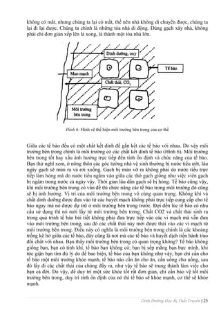 Dinh Dưỡng Học Bị Thất Truyền | 25
không có mắt, nhƣng chúng ta lại có mắt, thế nên nhà không di chuyển đƣợc, chúng ta
lại đi lại đƣợc. Chúng ta chính là những tòa nhà di động. Dùng gạch xây nhà, không
phải chỉ đơn giản xếp lên là xong, là thành một tòa nhà lớn.
Hình 6: Hình vẽ thể hiện môi trƣờng bên trong của cơ thể
Giữa các tế bào đều có một chất kết dính để gắn kết các tế bào với nhau. Do vậy môi
trƣờng bên trong chính là môi trƣờng có các chất kết dính tế bào (Hình 6). Môi trƣờng
bên trong tốt hay xấu ảnh hƣởng trực tiếp đến tính ổn định và chức năng của tế bào.
Bạn thử nghĩ xem, ở nông thôn các góc tƣờng nhà vệ sinh thƣờng bị nƣớc tiểu ƣớt, lâu
ngày gạch sẽ mủn ra và rơi xuống. Gạch bị mủn vỡ ra không phải do nƣớc tiểu trực
tiếp làm hỏng mà do nƣớc tiểu ngấm vào giữa các thớ gạch giống nhƣ việc viên gạch
bị ngâm trong nƣớc cả ngày vậy. Thời gian lâu dần gạch sẽ bị hỏng. Tế bào cũng vậy,
khi môi trƣờng bên trong có vấn đề thì chức năng các tế bào trong môi trƣờng đó cũng
sẽ bị ảnh hƣởng. Vị trí của môi trƣờng bên trong vô cùng quan trọng. Không khí và
chất dinh dƣỡng đƣợc đƣa vào từ các huyết mạch không phải trực tiếp cung cấp cho tế
bào ngay mà nó đƣợc dự trữ ở môi trƣờng bên trong trƣớc. Đợi đến lúc tế bào có nhu
cầu sử dụng thì nó mới lấy từ môi trƣờng bên trong. Chất CO2 và chất thải sinh ra
trong quá trình tế bào bài tiết không phải đƣa trực tiếp vào các vi mạch mà vẫn đƣa
vào môi trƣờng bên trong, sau đó các chất thải này mới đƣợc thải vào các vi mạch từ
môi trƣờng bên trong. Điều này có nghĩa là môi trƣờng bên trong chính là các khoảng
trống kẽ hở giữa các tế bào, đây cũng là nơi mà các tế bào và huyết dịch tiến hành trao
đổi chất với nhau. Bạn thấy môi trƣờng bên trong có quan trọng không? Tế bào không
giống bạn, bạn có tính khí, tế bào bạn không có; bạn bị sếp mắng bạn bực mình, khi
tức giận bạn tìm đủ lý do để bao biện, tế bào của bạn không nhƣ vậy, bạn chỉ cần cho
tế bào một môi trƣờng khỏe mạnh, tế bào nào cần ăn cho ăn, cần uống cho uống, sau
đó lấy đi các chất thải của chúng đẩy ra, nhƣ vậy tế bào sẽ trung thành làm việc cho
bạn cả đời. Do vậy, để duy trì một sức khỏe tốt rất đơn giản, chỉ cần bảo vệ tốt môi
trƣờng bên trong, duy trì tính ổn định của nó thì tế bào sẽ khỏe mạnh, cơ thể sẽ khỏe
mạnh.
 
